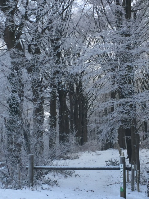 Taal en teken - winter 2024